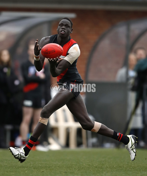 VFL 2019 2nd Semi Final - Essendon v Werribee - 713722