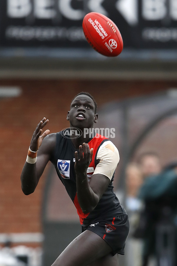 VFL 2019 2nd Semi Final - Essendon v Werribee - 713762