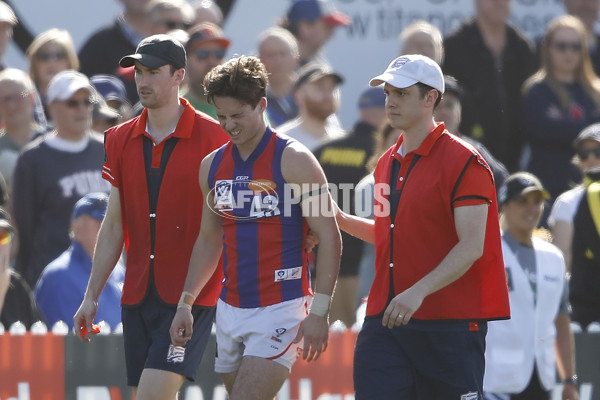 VFL 2019 1st Preliminary Final - Richmond v Port Melbourne - 714836