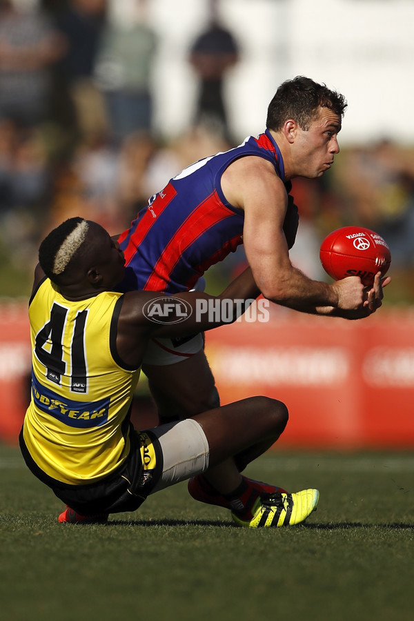 VFL 2019 1st Preliminary Final - Richmond v Port Melbourne - 714869