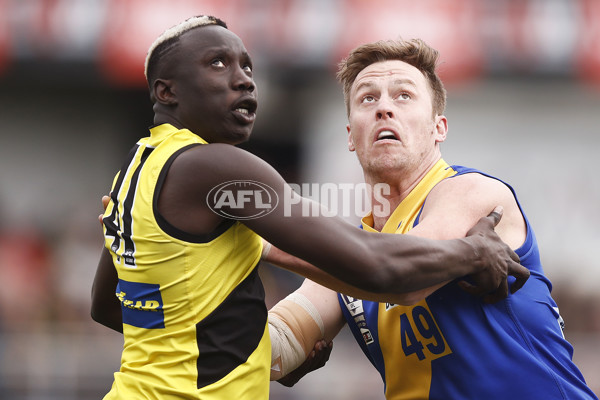 VFL 2019 Grand Final - Richmond v Williamstown - 717188