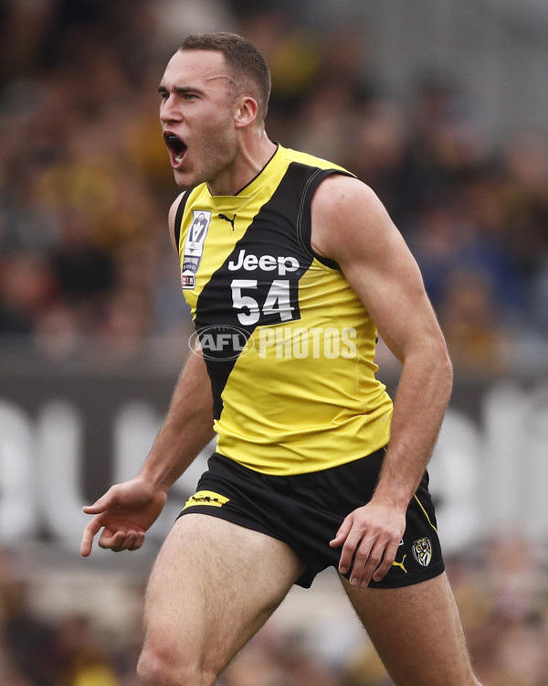 VFL 2019 Grand Final - Richmond v Williamstown - 717217