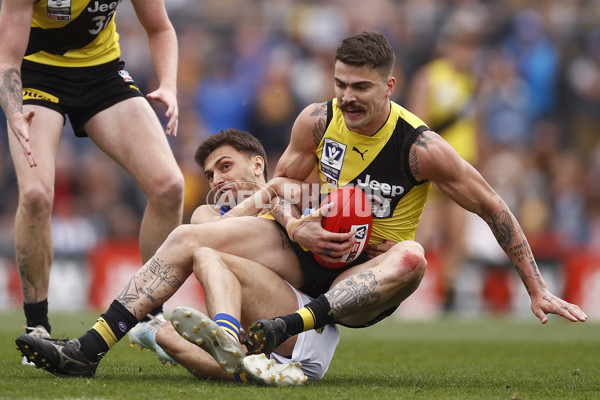 VFL 2019 Grand Final - Richmond v Williamstown - 717212