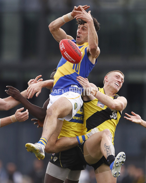 VFL 2019 Grand Final - Richmond v Williamstown - 717251