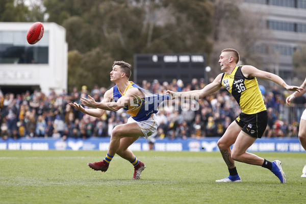 VFL 2019 Grand Final - Richmond v Williamstown - 717246