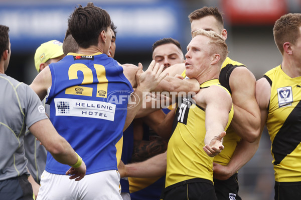 VFL 2019 Grand Final - Richmond v Williamstown - 717239