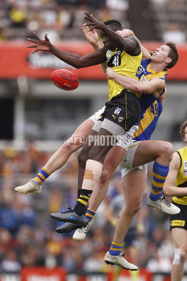 VFL 2019 Grand Final - Richmond v Williamstown - 717222