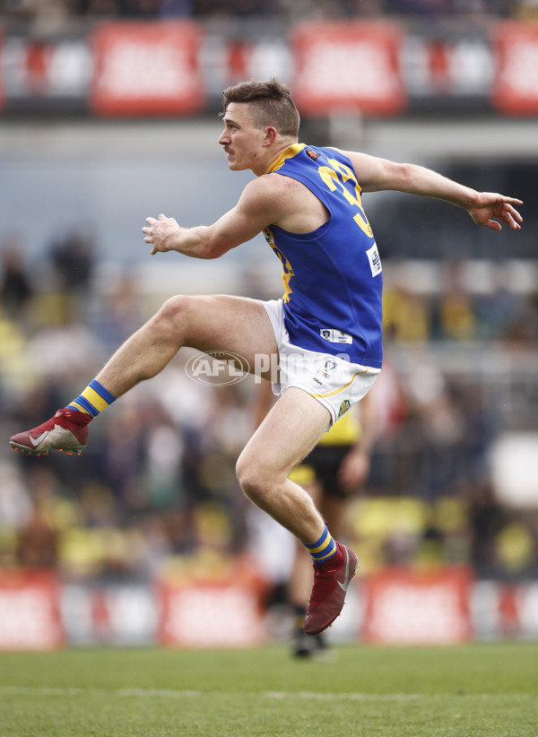 VFL 2019 Grand Final - Richmond v Williamstown - 717245