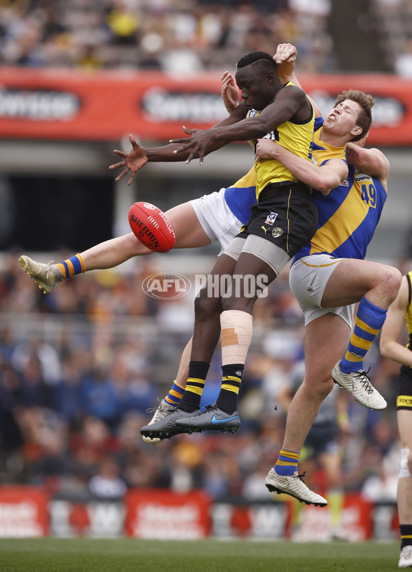 VFL 2019 Grand Final - Richmond v Williamstown - 717224