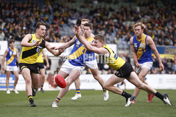 VFL 2019 Grand Final - Richmond v Williamstown - 717320