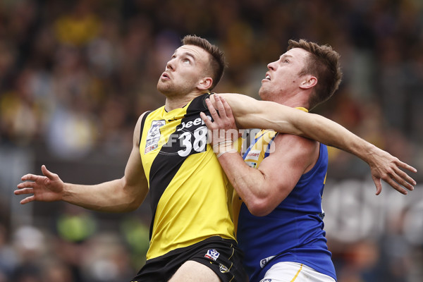 VFL 2019 Grand Final - Richmond v Williamstown - 717448