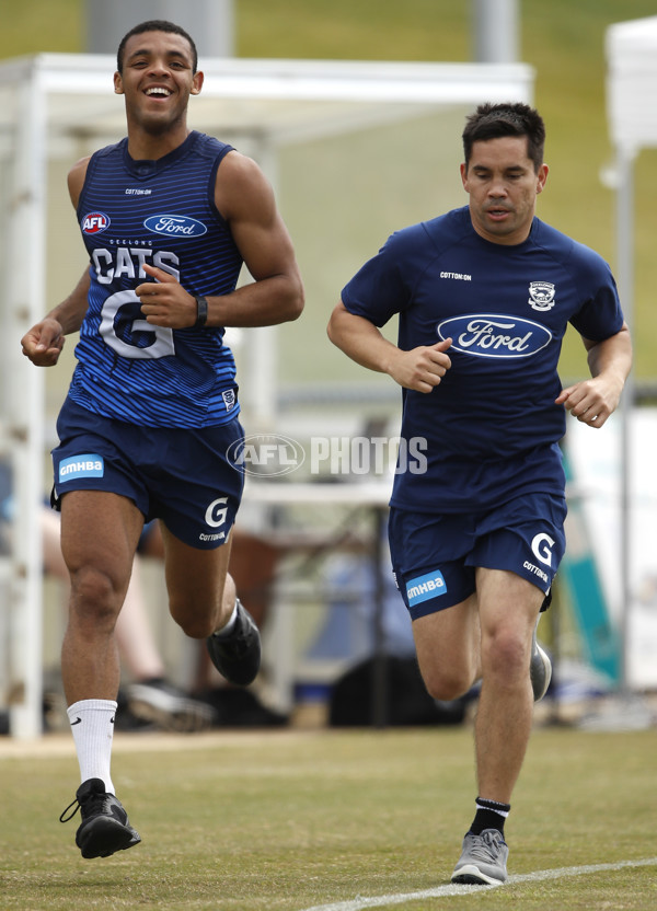 AFL 2019 Training - Geelong 191119 - 724109