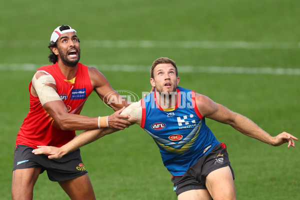 AFL 2019 Training - Gold Coast 080819 - 703234