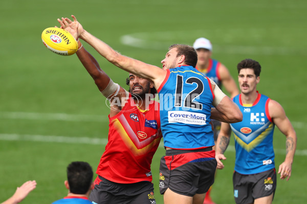 AFL 2019 Training - Gold Coast 080819 - 703235