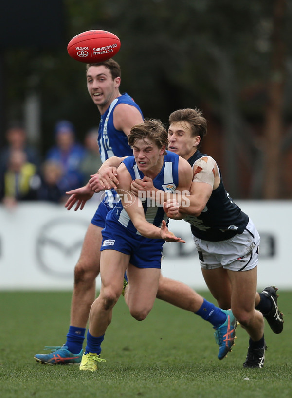 VFL 2019 Round 17 - North Melbourne v Northern Blues - 699226