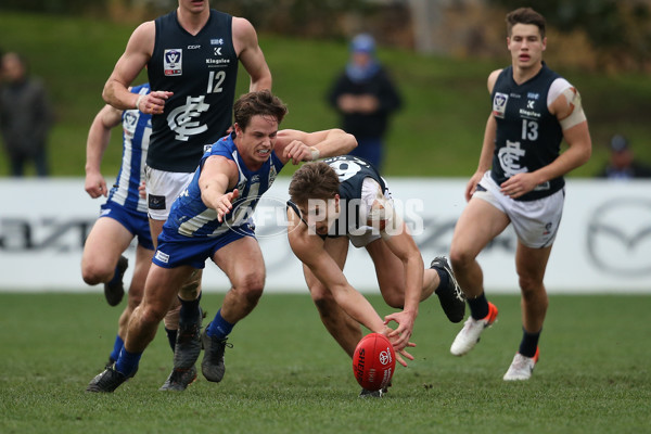 VFL 2019 Round 17 - North Melbourne v Northern Blues - 699330