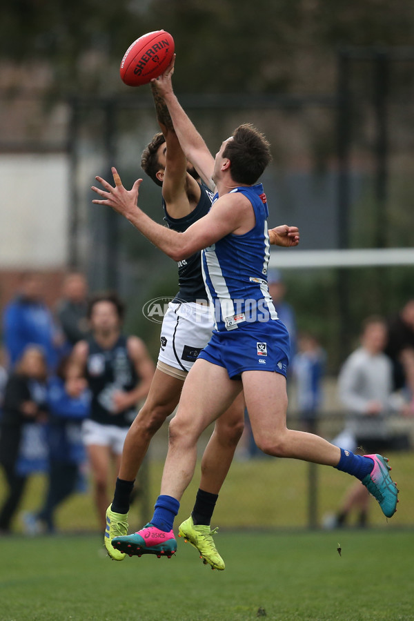 VFL 2019 Round 17 - North Melbourne v Northern Blues - 699324