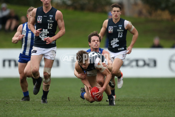 VFL 2019 Round 17 - North Melbourne v Northern Blues - 699329