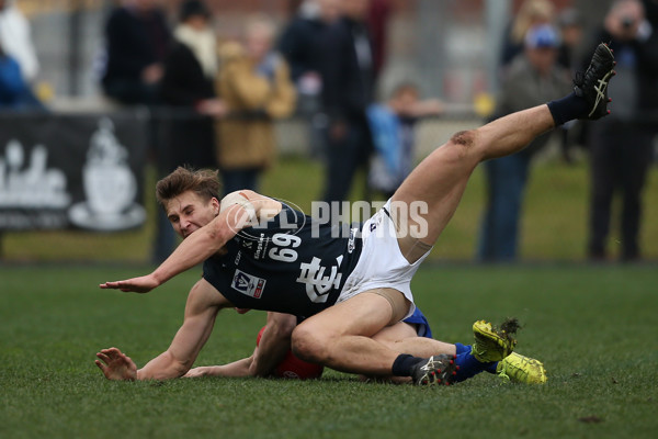 VFL 2019 Round 17 - North Melbourne v Northern Blues - 699331