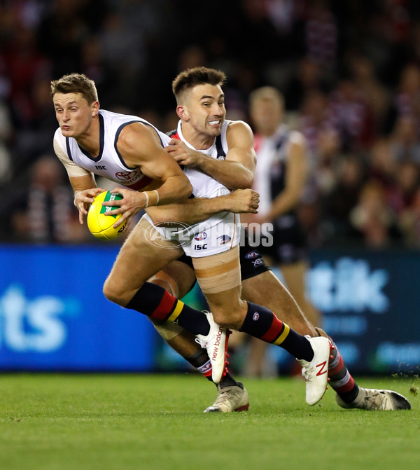 AFL 2019 Round 06 - St Kilda v Adelaide - 668291