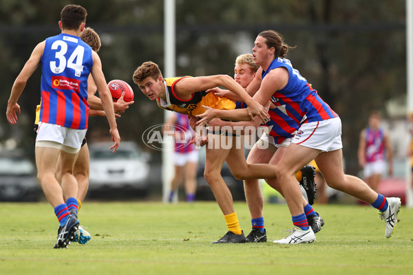 NAB League Boys 2019 Round 5 - Dandenong v Oakleigh - 668327