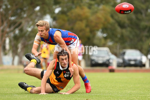 NAB League Boys 2019 Round 5 - Dandenong v Oakleigh - 668359