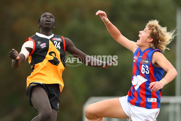 NAB League Boys 2019 Round 5 - Dandenong v Oakleigh - 668354