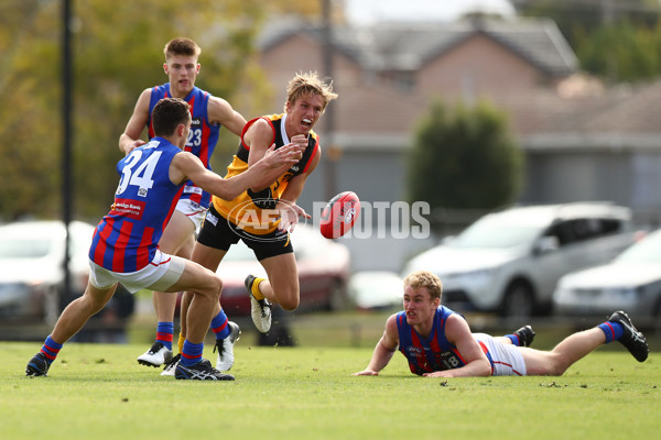 NAB League Boys 2019 Round 5 - Dandenong v Oakleigh - 668395