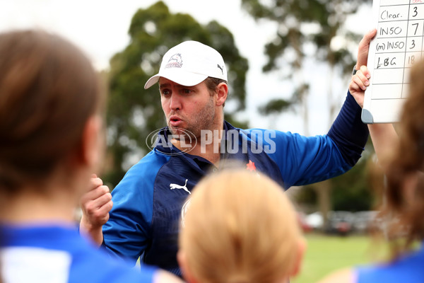 NAB League Girls 2019 Round 7 - Dandenong v Oakleigh - 668492