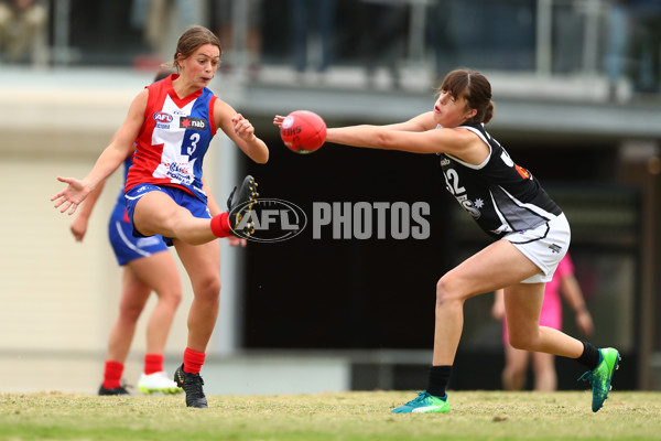 NAB League Girls 2019 Round 7 - Dandenong v Oakleigh - 668737