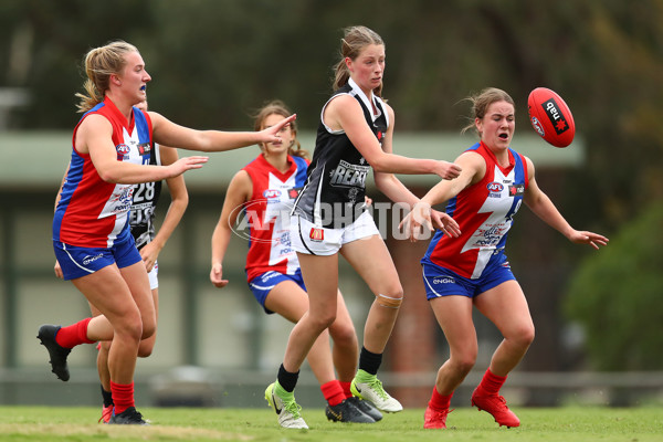 NAB League Girls 2019 Round 7 - Dandenong v Oakleigh - 668731