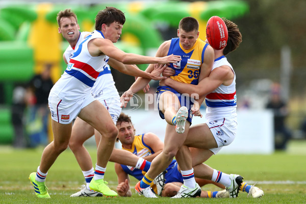 VFL 2019 Round 04 - Williamstown v Footscray - 669225