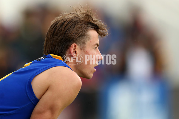 VFL 2019 Round 04 - Williamstown v Footscray - 669428