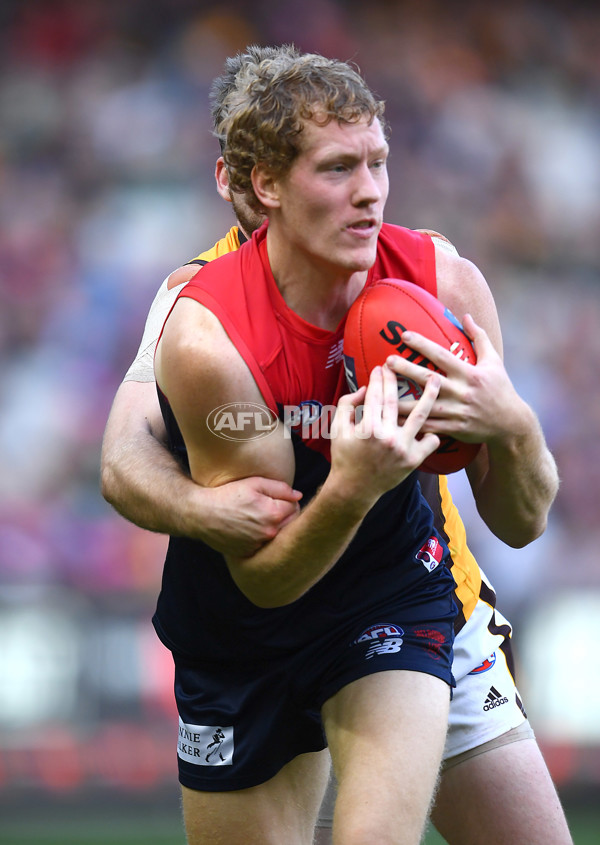 AFL 2019 Round 07 - Melbourne v Hawthorn - 670018