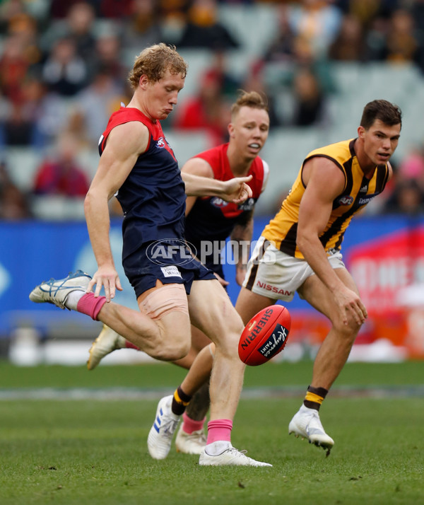 AFL 2019 Round 07 - Melbourne v Hawthorn - 670314