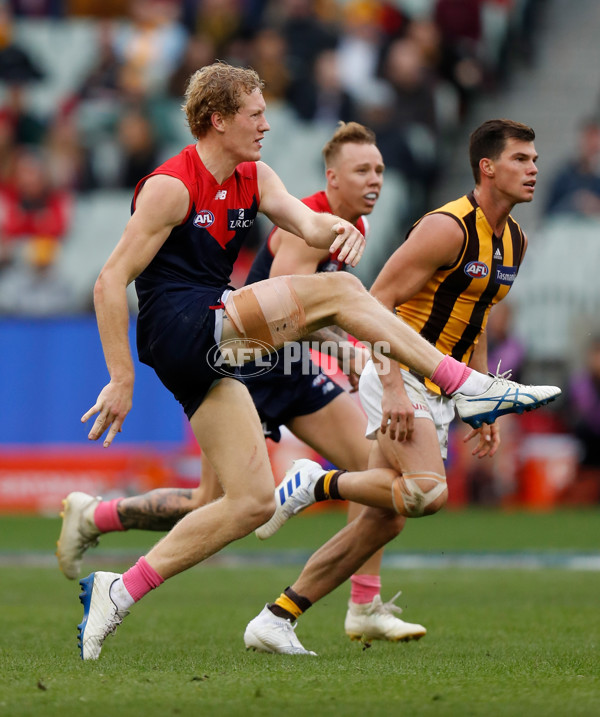 AFL 2019 Round 07 - Melbourne v Hawthorn - 670313