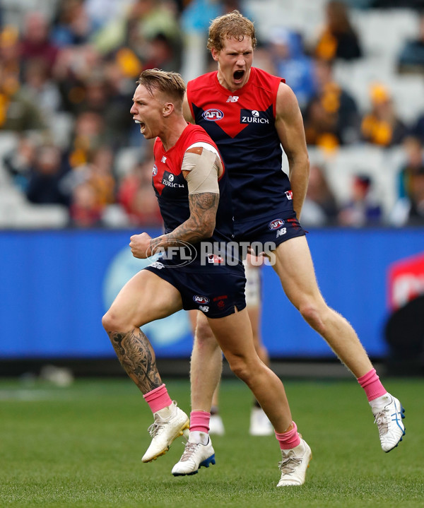 AFL 2019 Round 07 - Melbourne v Hawthorn - 670164