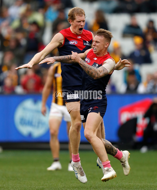 AFL 2019 Round 07 - Melbourne v Hawthorn - 670293