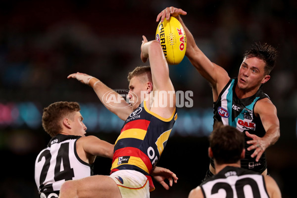 AFL 2019 Round 08 - Port Adelaide v Adelaide - 673217