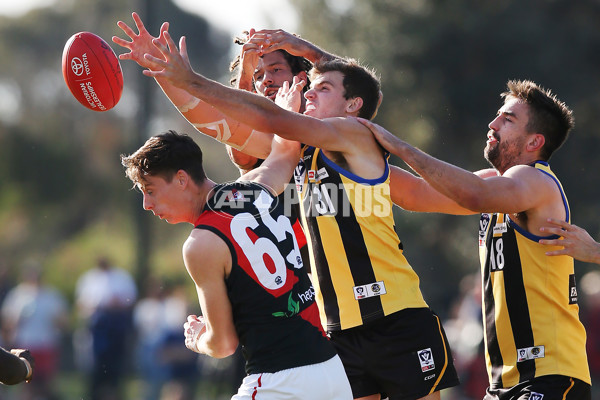 VFL 2019 Round 07 - Sandringham v Essendon - 675916