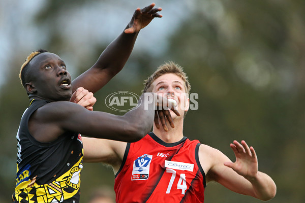 VFL 2019 Round 08 - Richmond v Essendon - 677633