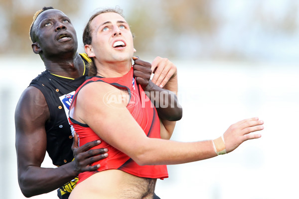 VFL 2019 Round 08 - Richmond v Essendon - 677556