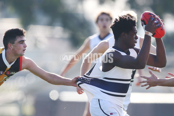 NAB League Boys 2019 Round 10 - Dandenong v Northern - 682796