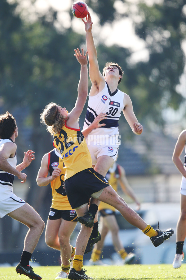 NAB League Boys 2019 Round 10 - Dandenong v Northern - 682795