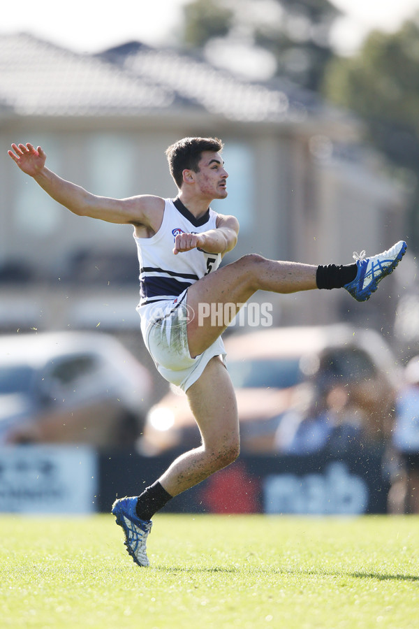 NAB League Boys 2019 Round 10 - Dandenong v Northern - 682792