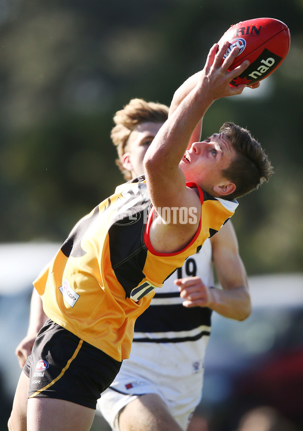 NAB League Boys 2019 Round 10 - Dandenong v Northern - 682798