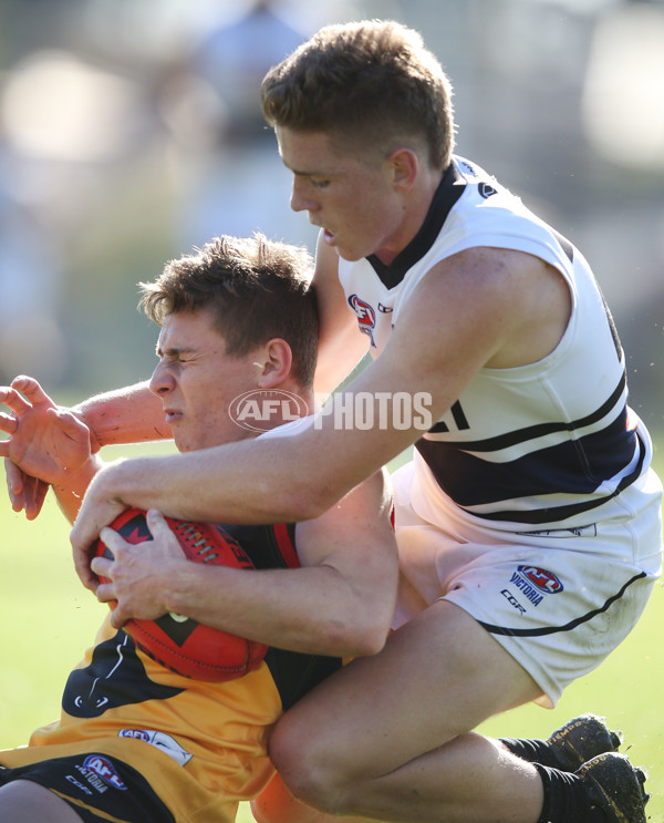 NAB League Boys 2019 Round 10 - Dandenong v Northern - 682815