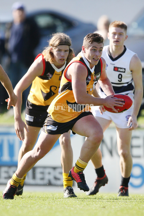 NAB League Boys 2019 Round 10 - Dandenong v Northern - 682806