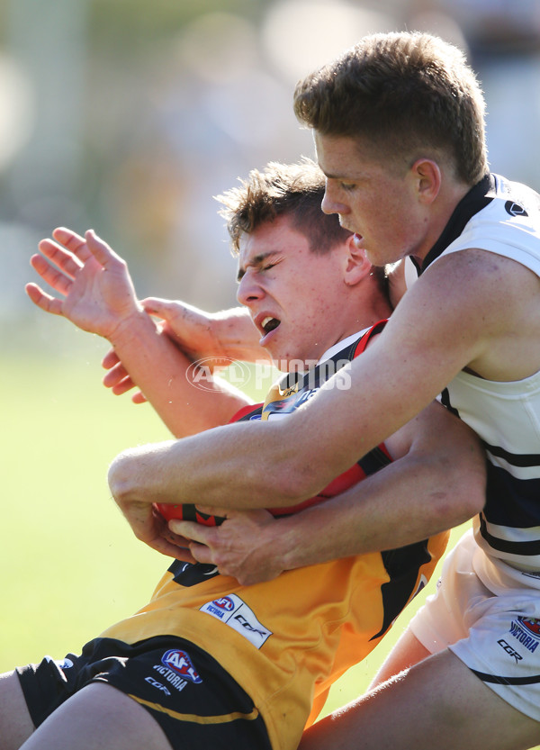 NAB League Boys 2019 Round 10 - Dandenong v Northern - 682813