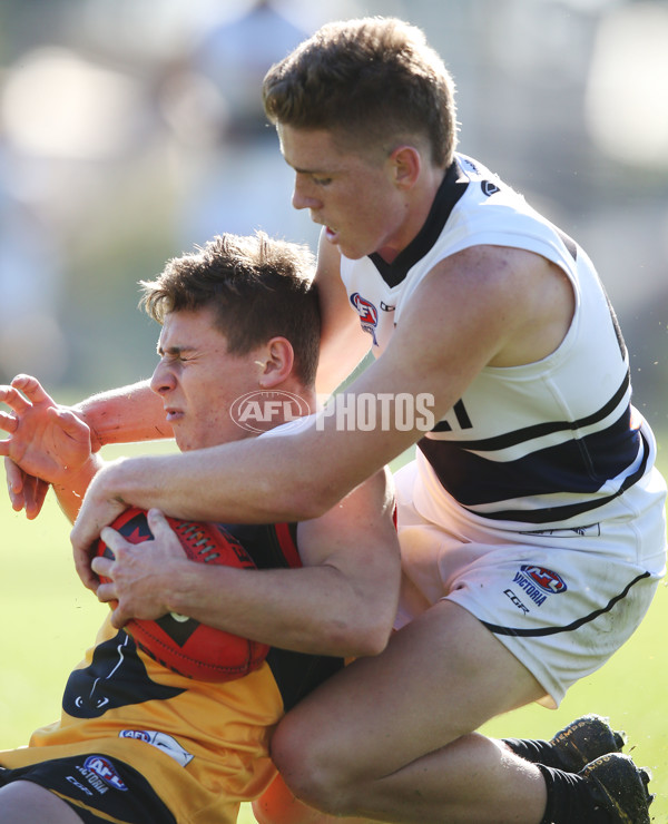 NAB League Boys 2019 Round 10 - Dandenong v Northern - 682814